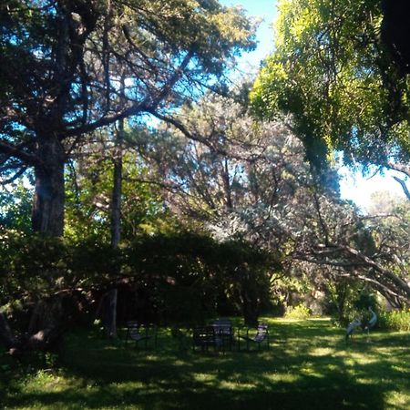 Cabana En Quinta La Aurora Mina Clavero Luaran gambar
