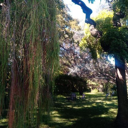 Cabana En Quinta La Aurora Mina Clavero Luaran gambar