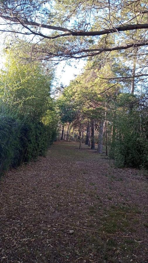 Cabana En Quinta La Aurora Mina Clavero Luaran gambar