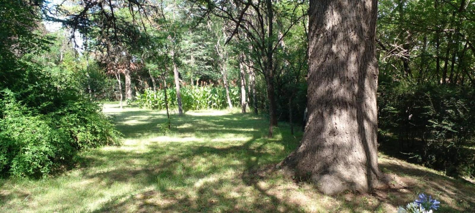 Cabana En Quinta La Aurora Mina Clavero Luaran gambar
