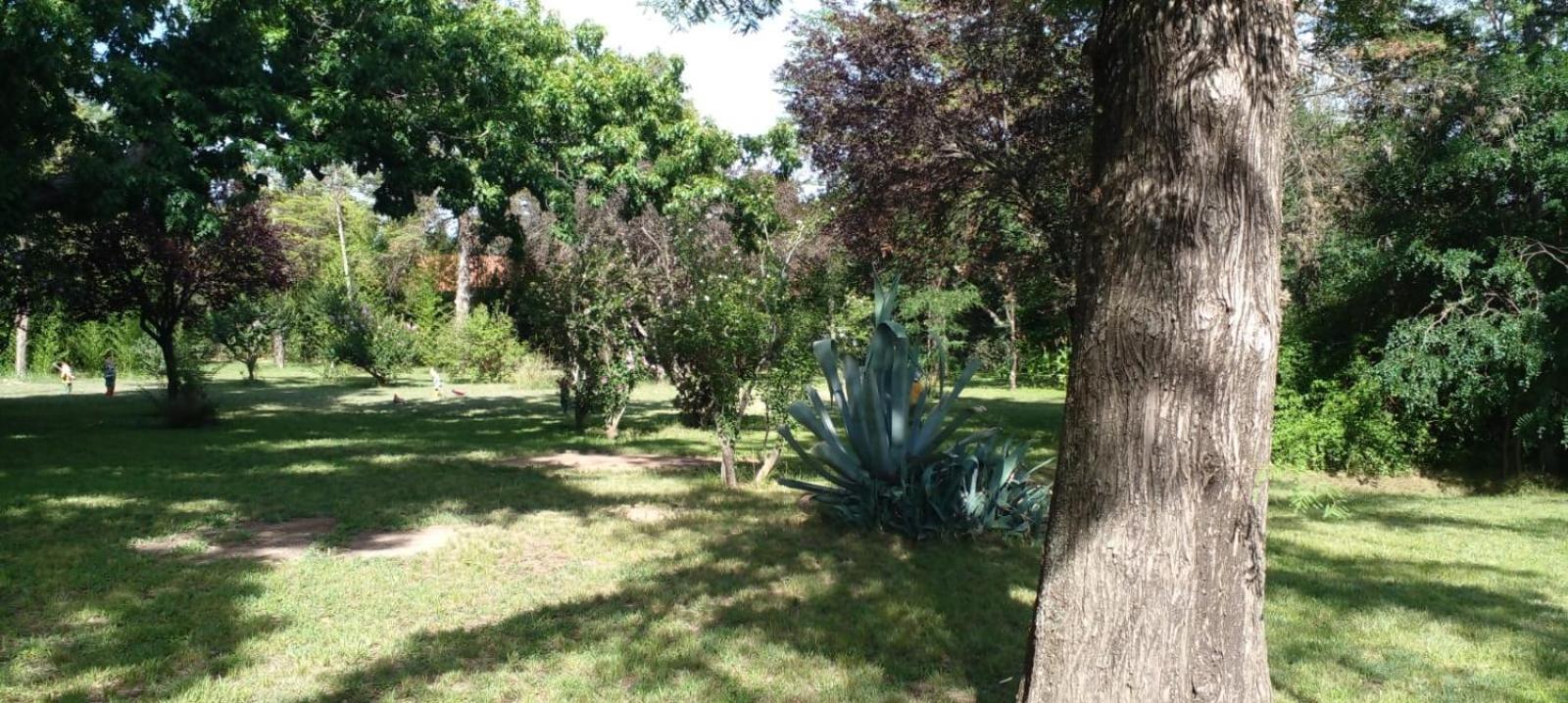 Cabana En Quinta La Aurora Mina Clavero Luaran gambar